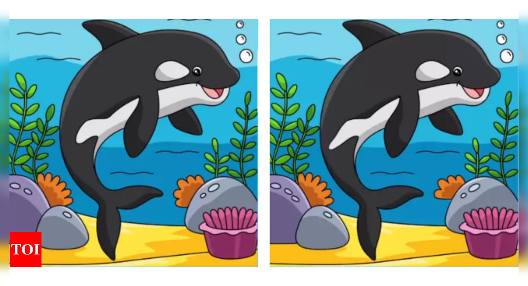 Spot the difference challenge: Find 3 differences in these identical looking dolphin images; you only have 10 seconds