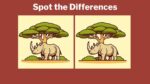 Spot the differences between the rhino pictures in 11 seconds!