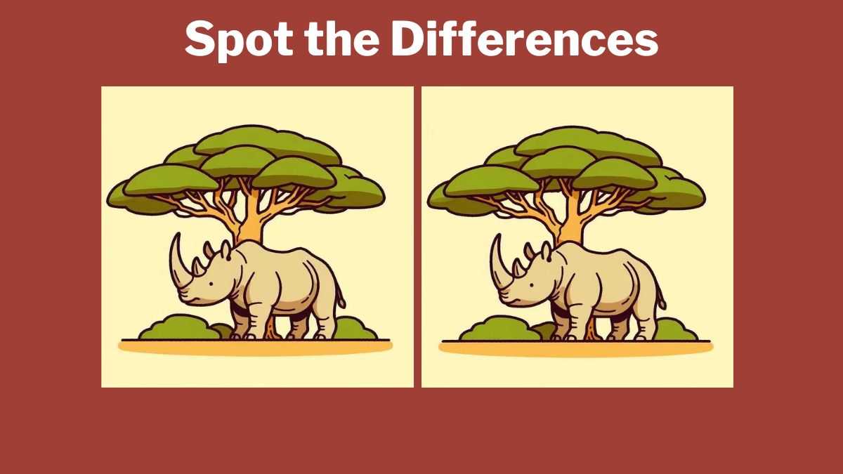 Spot the differences between the rhino pictures in 11 seconds!