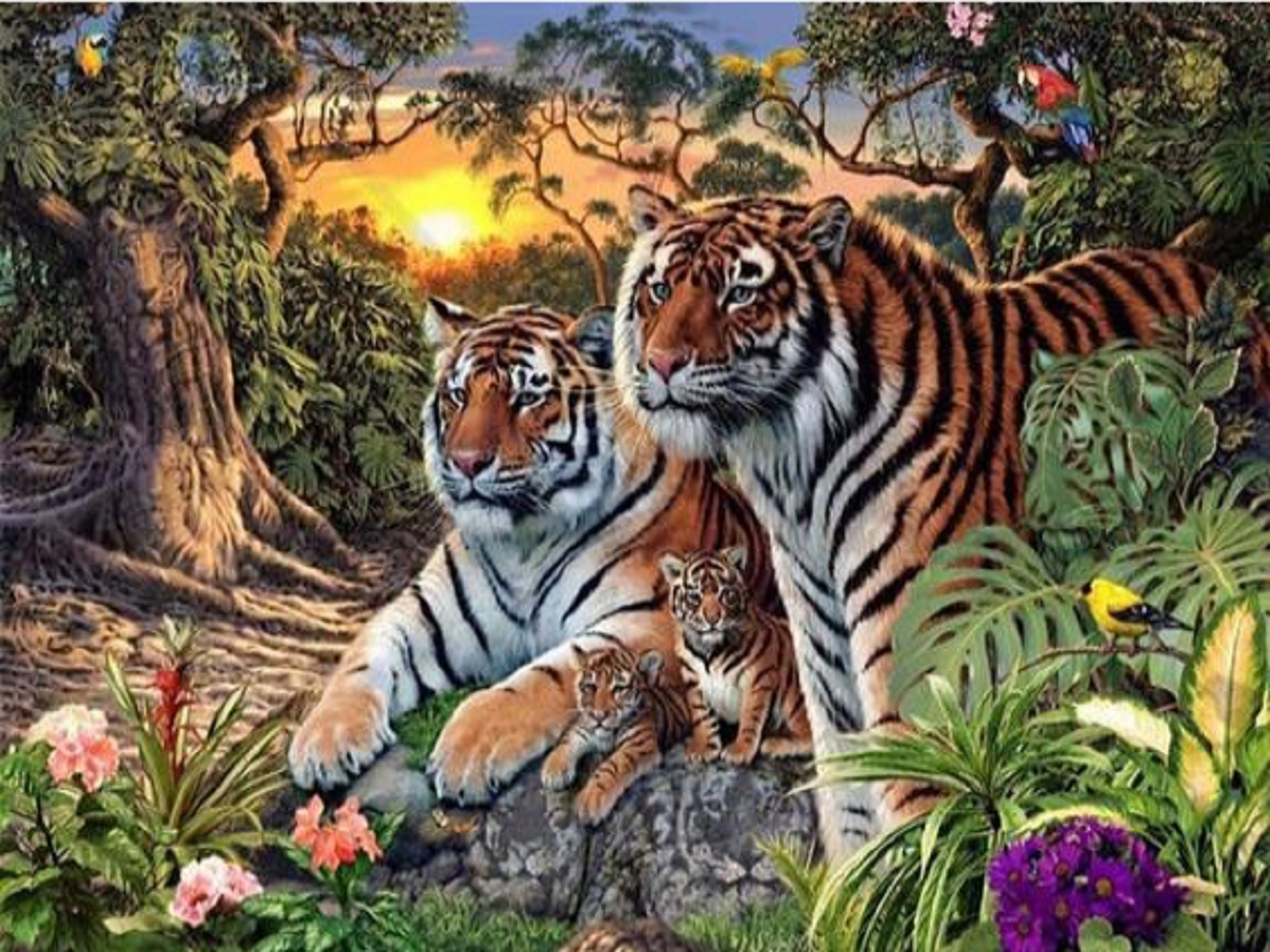 There are 16 tigers in this image; can you find them all?