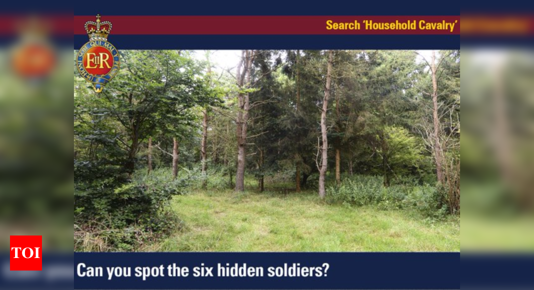 There are 6 soldiers hidden in this picture. Can you find them in 15 seconds?