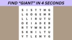 Word Search Puzzle: Can you find the word “GIANT” in 4 seconds?