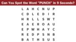 Word Search Puzzle: Can you find the word “PUNCH” in 9 seconds?