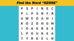 Word Search Puzzle: Find the word ”OZONE” in 7 seconds!