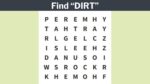 You have sharp eyes if you can find the word ”DIRT" in 6 seconds!