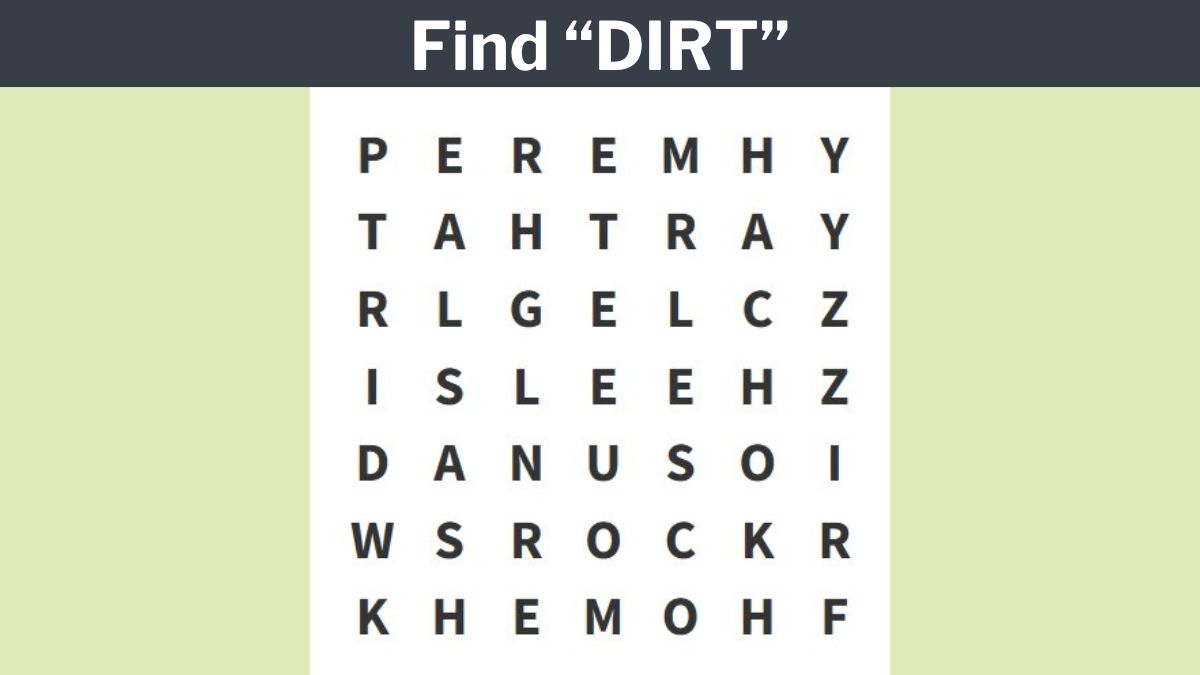 You have sharp eyes if you can find the word ”DIRT" in 6 seconds!