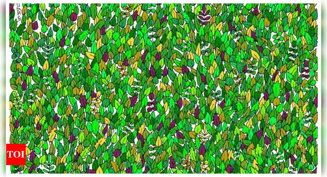 Optical illusion: Only those with sharp vision can spot the frog among these leaves in 5 seconds