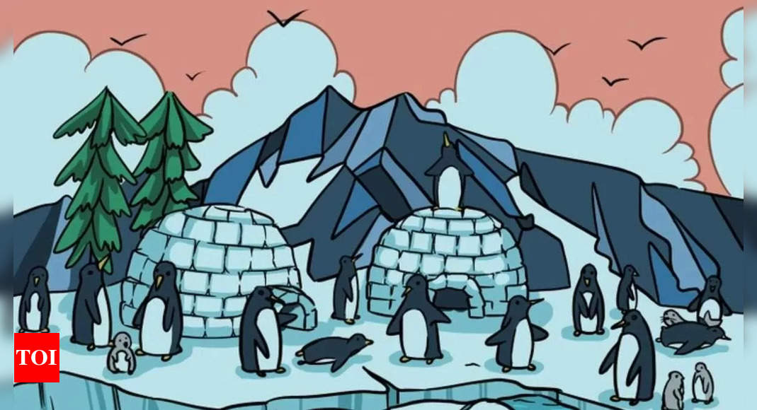 Optical illusion: Only those with 20/20 vision can spot the Seal hidden among Penguins in just 5 seconds