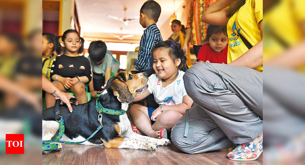 Animal Assisted Therapy can help with stress and anxiety: Experts