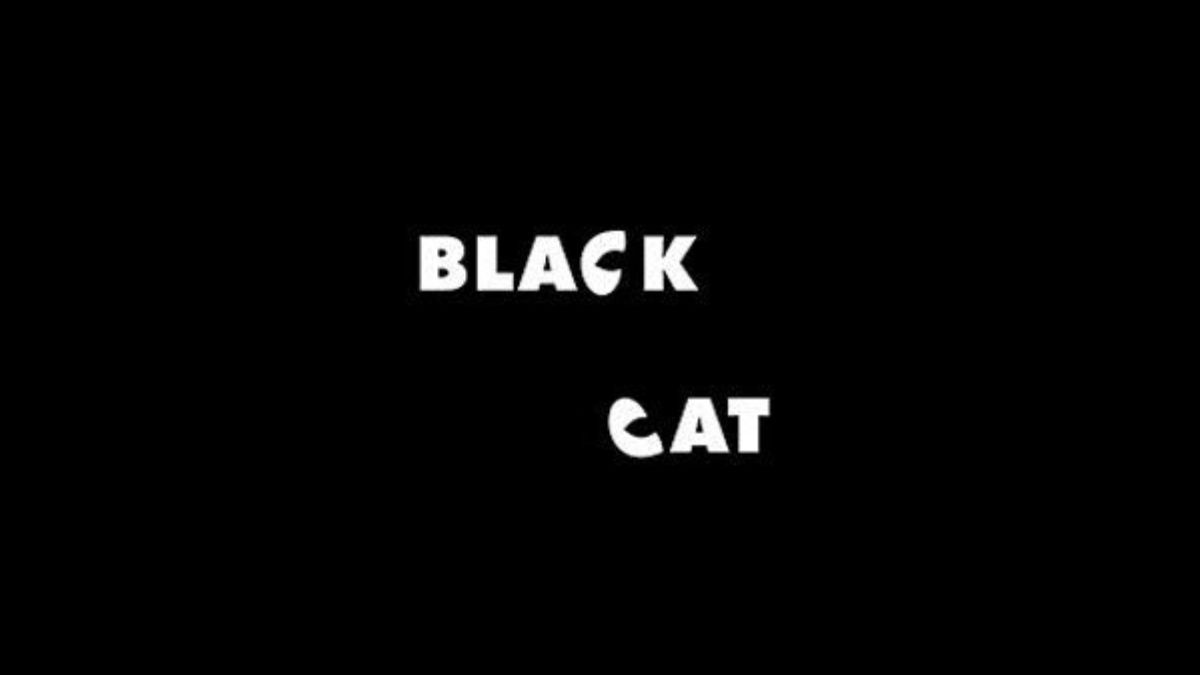 Brain Teaser: This Black Cat Optical Illusion Is Tricking Everyone! Can You Spot It In 5 Seconds?