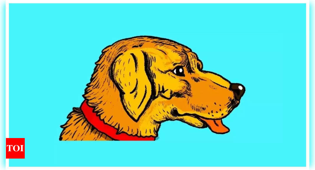 Brain teaser: Only a genius can spot a man’s face hidden in this dog in 5 seconds!