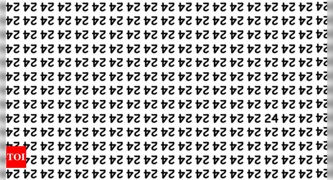 Optical Illusion: Can you spot 24 in this image?