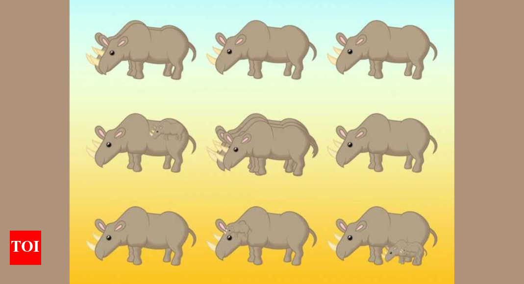 Optical Illusion: Only a real wildlife lover can tell the correct number of Rhinos in this picture