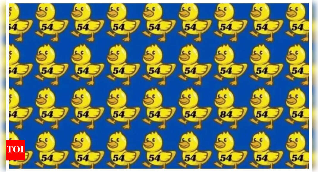 Optical illusion: Only a genius can spot the odd number hidden among a sea of identical "54s"