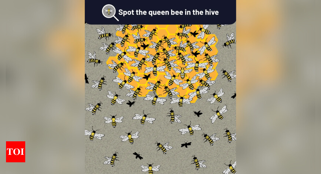 Optical illusion: Only a person with extraordinary observational skills can spot the Queen Bee in 7 seconds