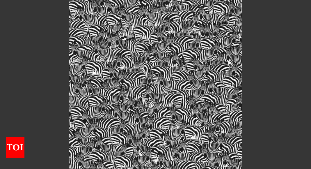 Optical illusion: There's a piano hidden among these zebras, can you spot it? |