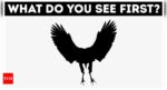 Optical illusion: What you see first reveals your biggest fear