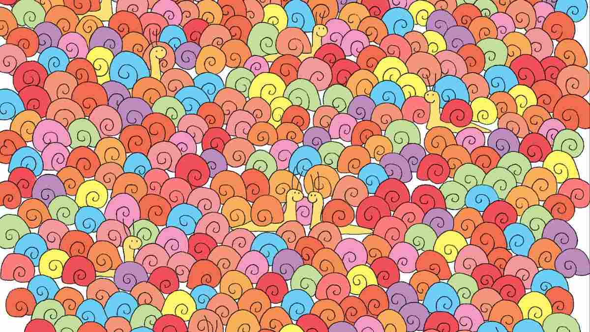 Picture Puzzle IQ Test: 99% of People Cannot Spot the Heart Among Snails In 5 Seconds! Can You?