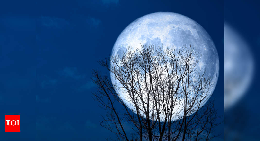 Super Flower Moon 2020 Photos & How to watch livestream online: All you need to know about the last supermoon of this year |