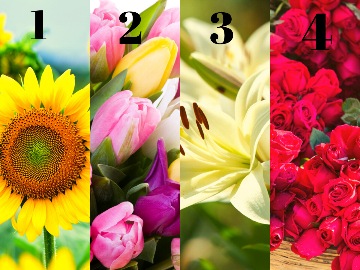 What’s your flower type? Know about your personality by picking your favourite one