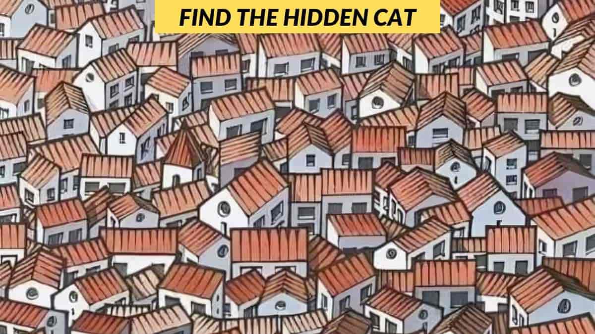 You have eagle eyes if you can find the hidden cat in 6 seconds!