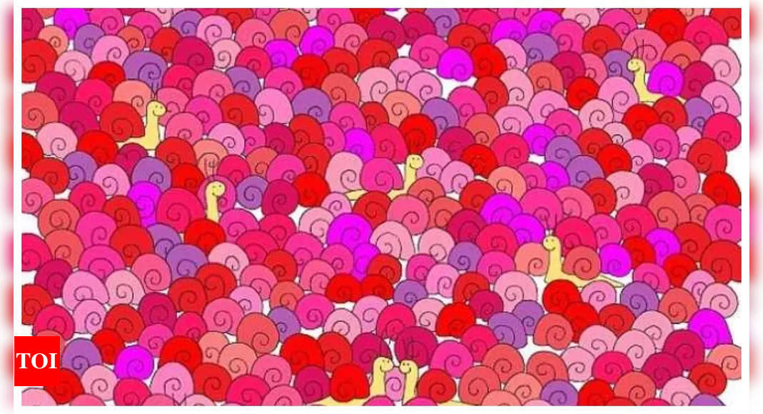 Optical illusion: Only those with 20/20 vision can spot the heart among snails in 5 seconds |