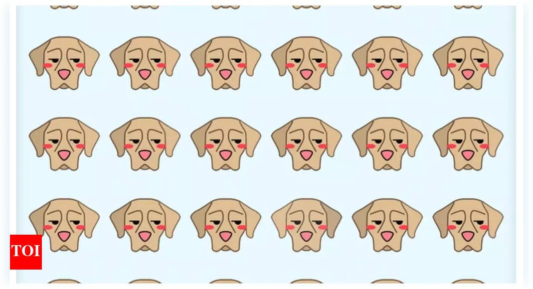 Brain teaser: Only a sharp eye can spot the odd one out in 10 seconds; can you? |