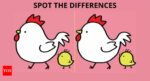 Find the Difference: Only a real sharp-eyed person can spot 3 differences in this hen and chick picture |