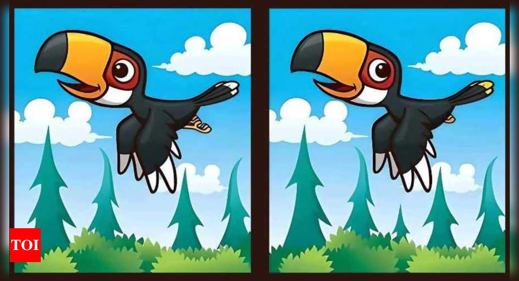 Find the Difference: Spot 5 differences in this Toucan bird picture