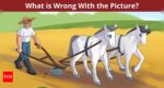 Optical Illusion: Are you smart enough to find an error in this farm picture? |