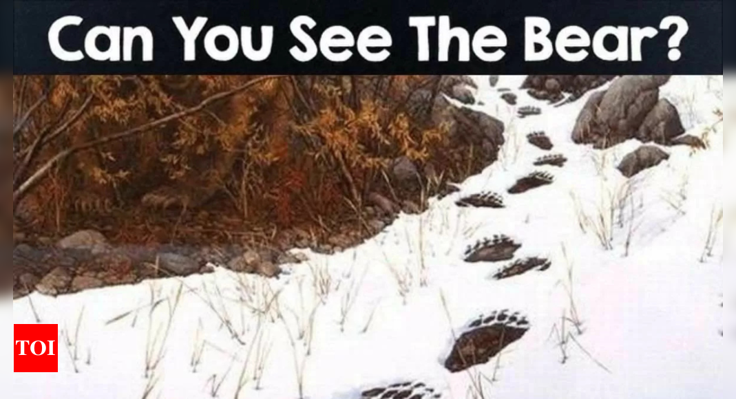 Optical Illusion: Can you spot the bear in this picture? |