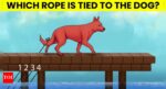 Optical Illusion: Only the smartest person can tell which rope is tied to the dog