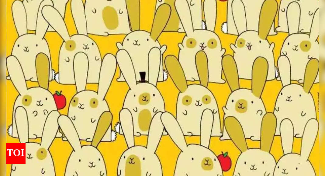 Optical Illusion: Think you have sharp eyes? Spot the hidden bunny in 17 seconds! |