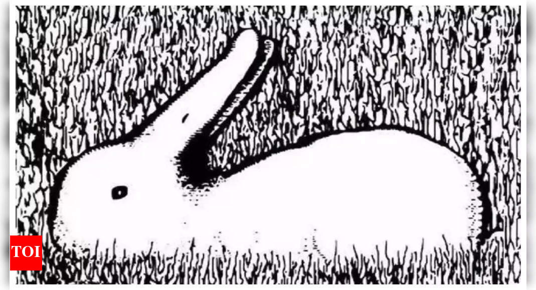 Optical Illusions: Duck or rabbit? The animal you see first can say if you are a generous person |