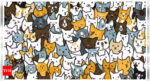 Optical illusion: Can you spot the Bunny hidden among the cats in 5 seconds? Only genius can! |