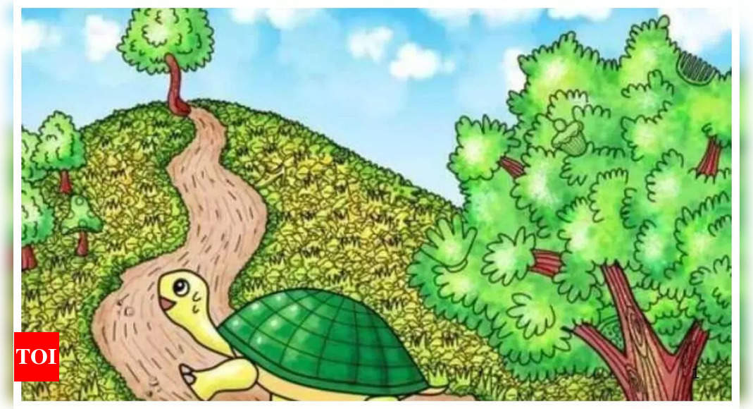 Optical illusion: Only a genius can find a hidden pizza in this picture