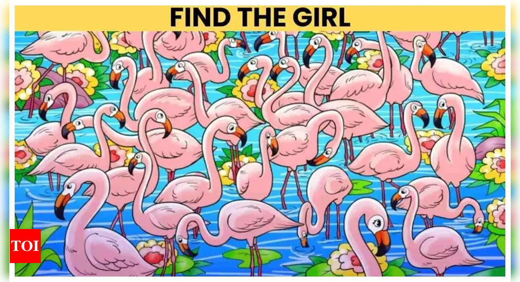 Optical illusion: Only a genius can spot the girl among Flamingos in 5 seconds