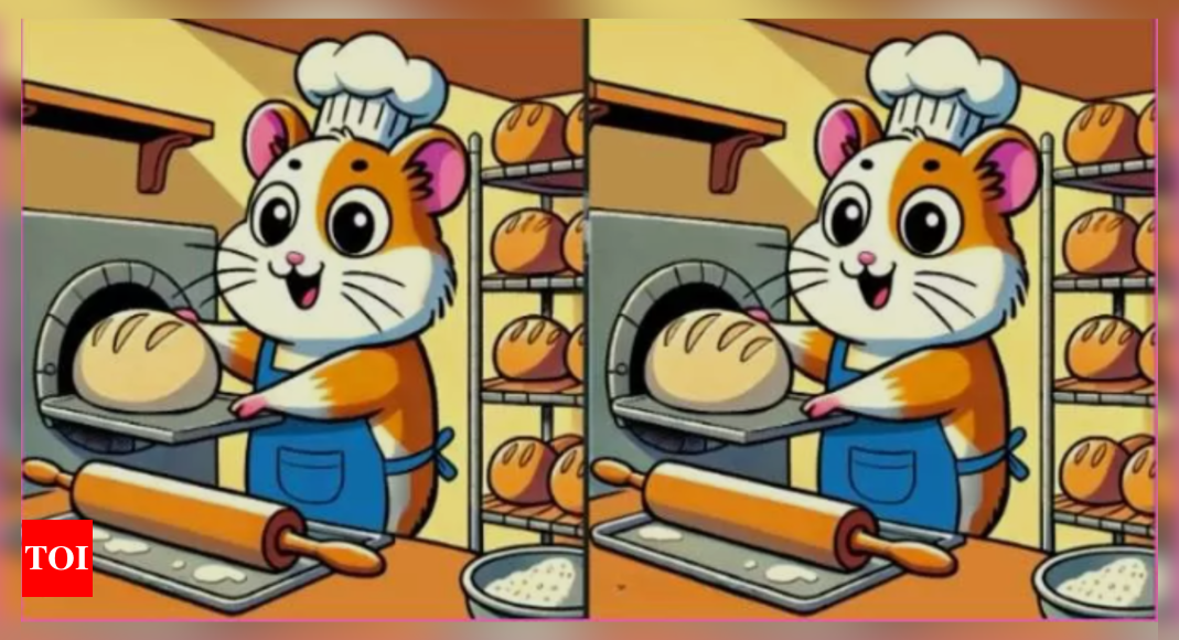 Optical illusion: Only a person who has good creativity can spot 3 difference between the cute Hamsters |