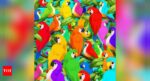 Optical illusion: Only a person who loves animals can spot the Chameleon hiding among the birds in 7 seconds