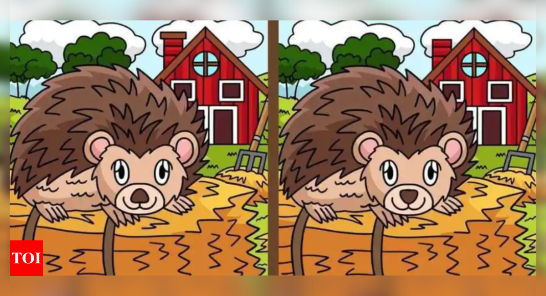 Optical illusion: Only people with excellent eyesight can spot the 3 differences in 11 seconds |