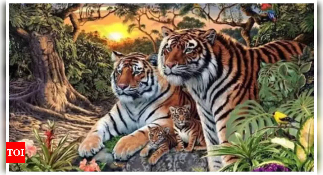 Optical illusion: Only those with 20/20 vision can spot the 16 tigers in this image