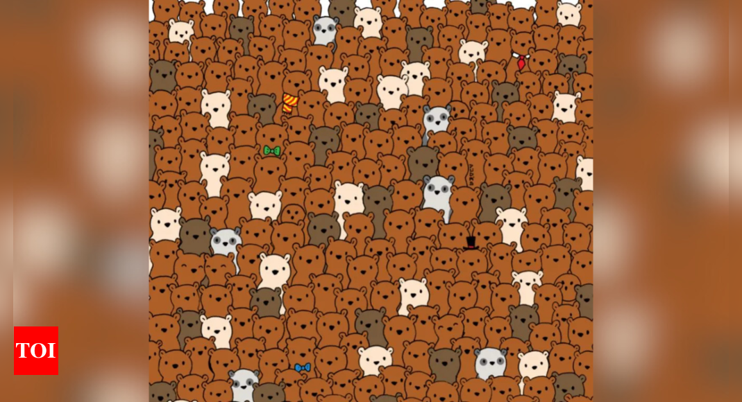 Optical illusion: Test your vision and spot 3 coconuts among the cute bears