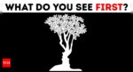 Optical illusion: What do you see first reveals if you are a good communicator or a keen observer |