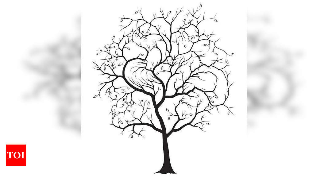 Personality test: Only a person with logical thinking can spot 5 birds on the tree |